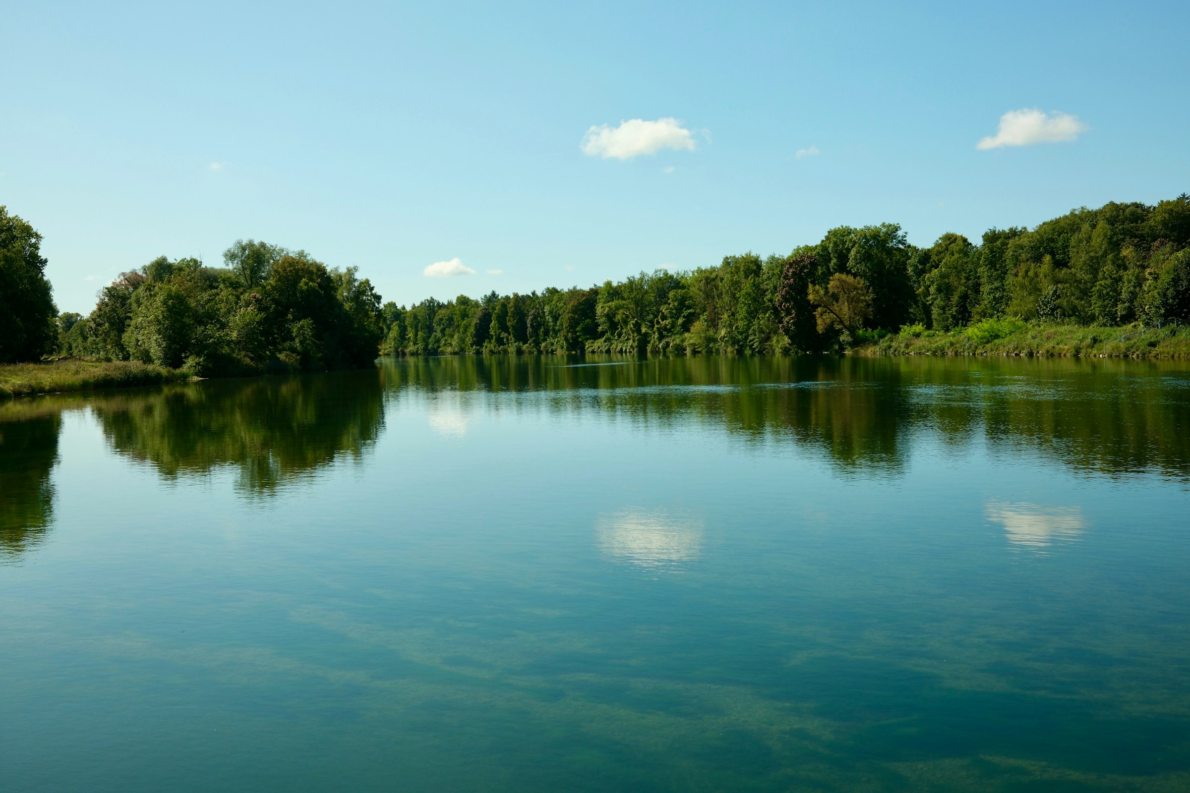 Fluss mit B&auml;umen im Hintergrund